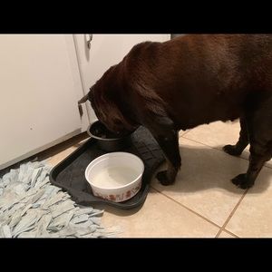 Meet your Posher, Debra